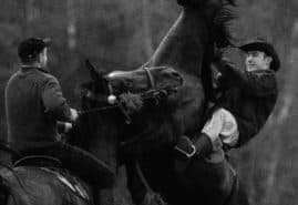 KRZYŻOKI, reż. 