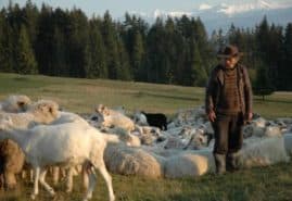 "The dog hill" dir. Grzegorz Zariczny<br />