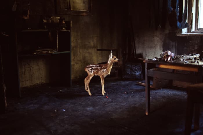 SUCH A LANDSCAPE