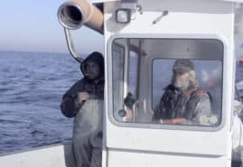 FISH’R’US, dir. 