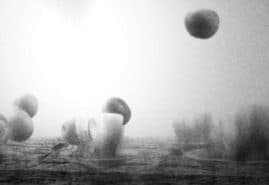 &nbsp;"Fugue for cello, trumpet and landscape" dir. Jerzy Kucia&nbsp;