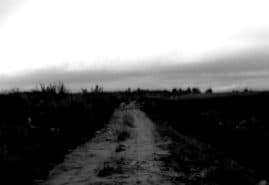 REKONGRODEK, dir. 