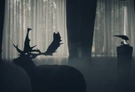 OF ANIMALS AND MEN, dir. 