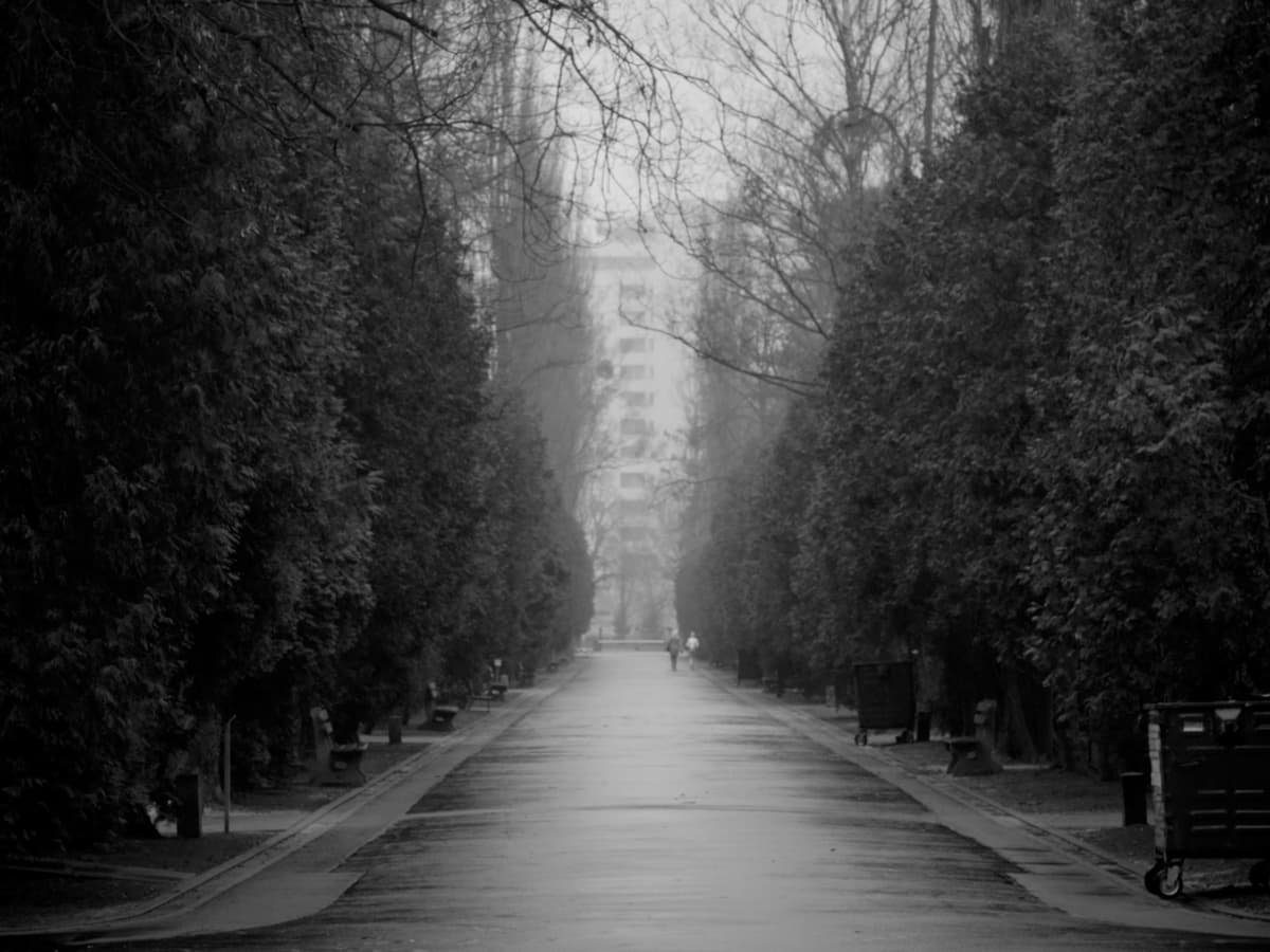 7 WORDS ABOUT PASSING AWAY