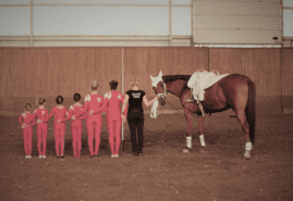 „STADO” NA DOC HOT SELECTION 2022