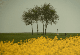 &nbsp;"The Devil", dir. Jan Bujnowski