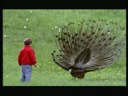 POLSKA GOŚCIEM SPECJALNYM 7. FESTIWALU DOCSDF W MEKSYKU!